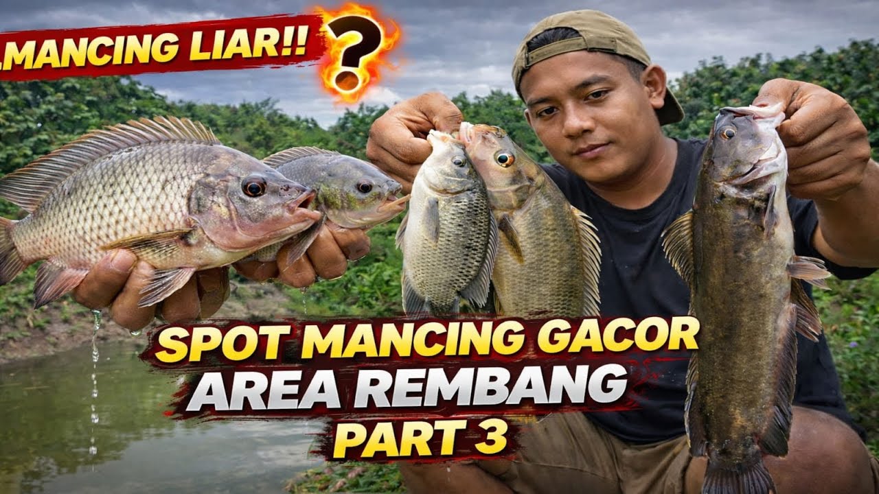 #part3 SPOT MANCING AREA REMBANG GACOR PARAH!! || LELE NILA MUJAIR JADI SAKSI