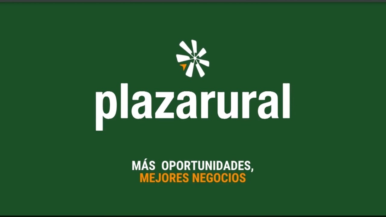 Remate Plaza Rural  317