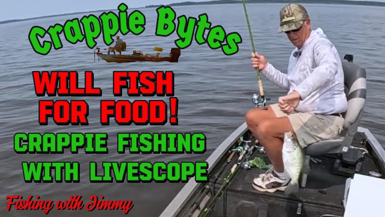 Will fish for food! Crappie fishing with Livescope #crappiefishing #livescope #fishing