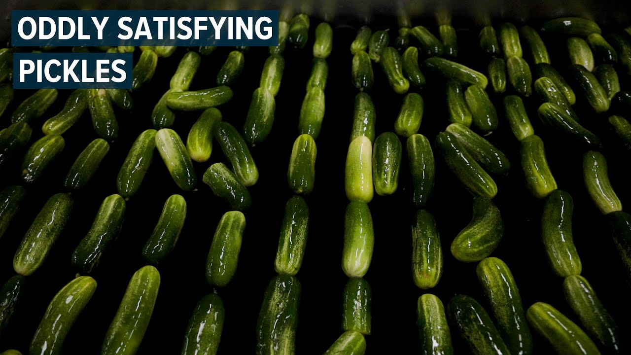 Oddly satisfying video of pickles