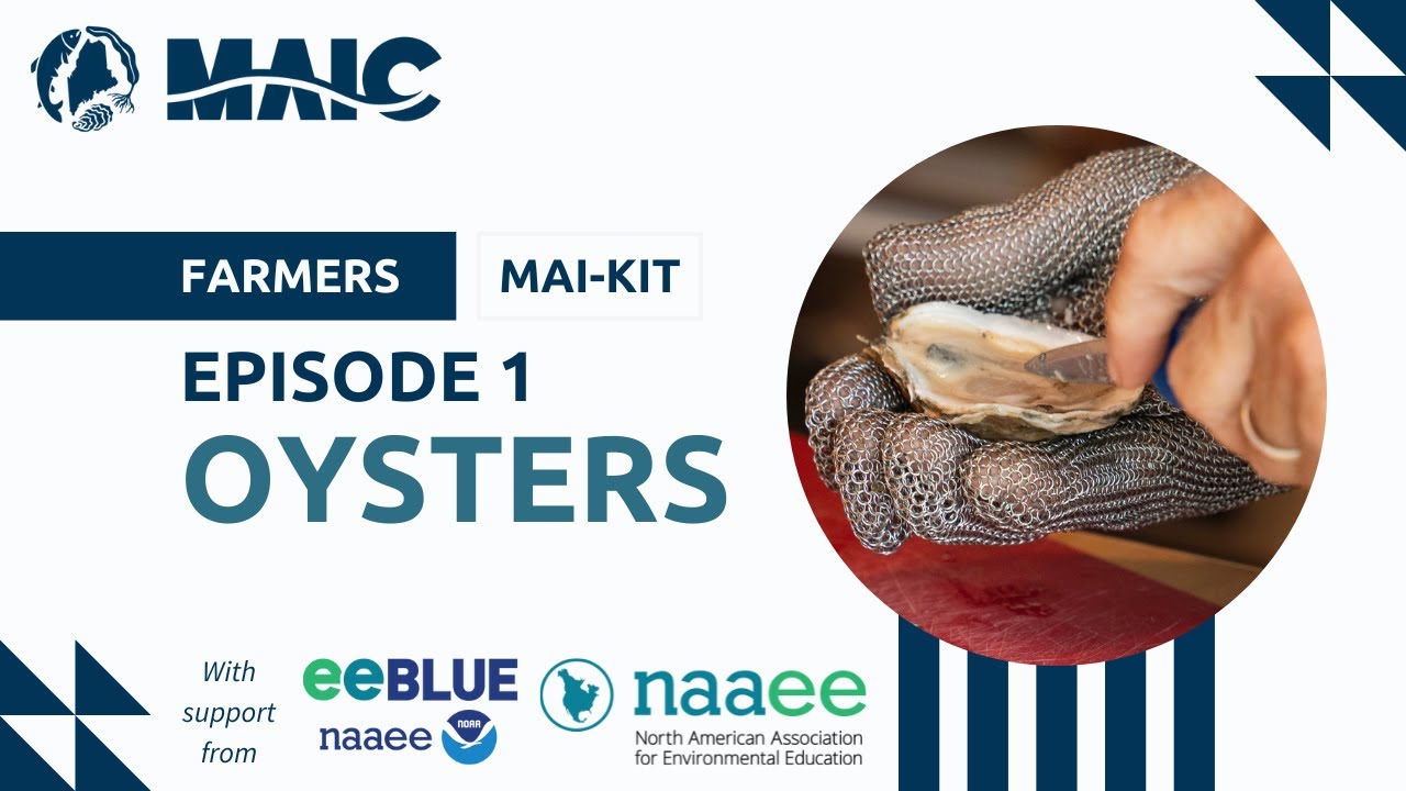 Farmers MAI-kit, Episode 1: Eastern Oyster