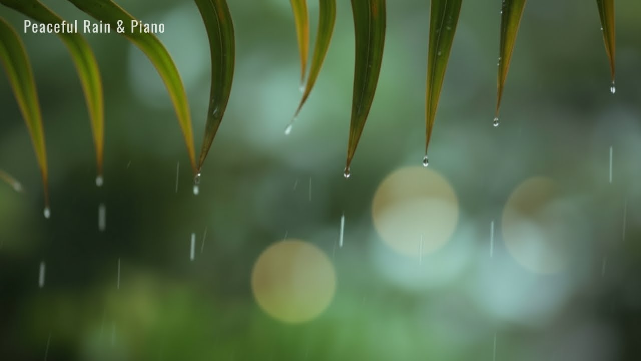 RELAXING MUSIC & Piano Music - Beautiful Rain Sounds, Sleep Music, Calm, Stress Relief | Piano Rain