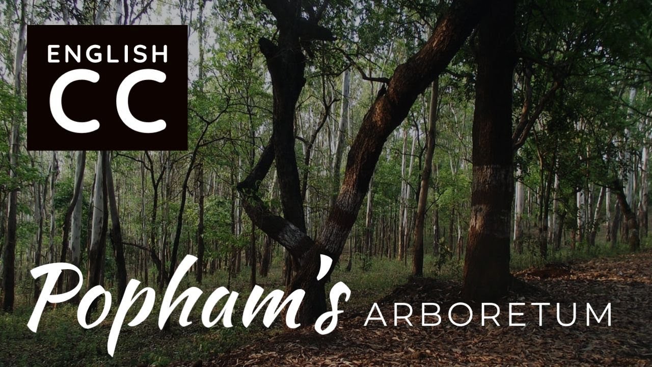 Popham's Arboretum, one & only arboretum in Sri Lanka | ලංකාවේ කැලයක් සැදු පරිසර හිතකාමී විදේශිකයා