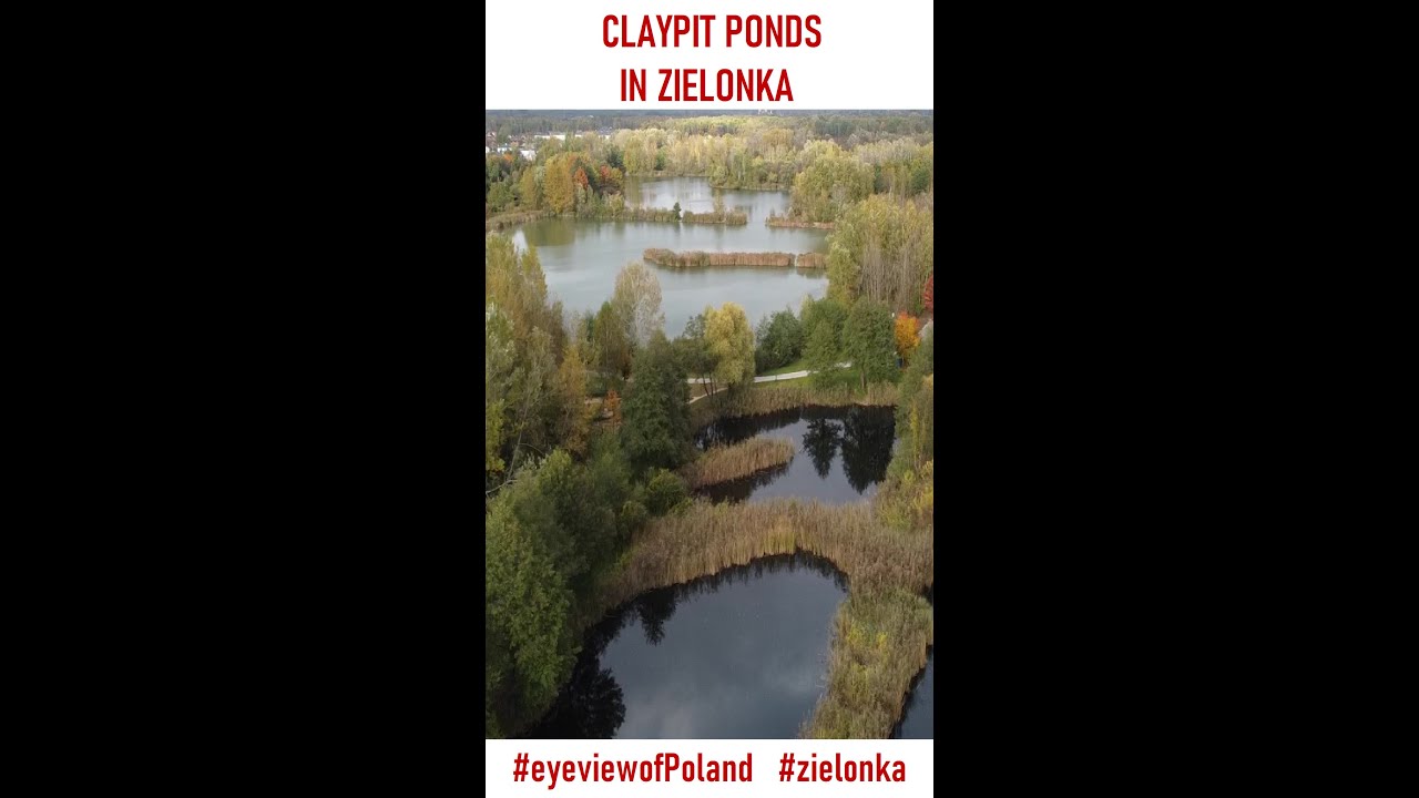 Claypit Ponds in Zielonka, shots taken with DJI Mavic drone #shorts #Poland