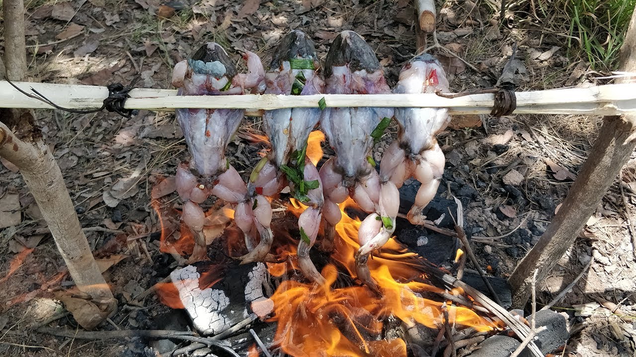 Yummy Frog Grilling With Chili Sauce / Frog Cooking