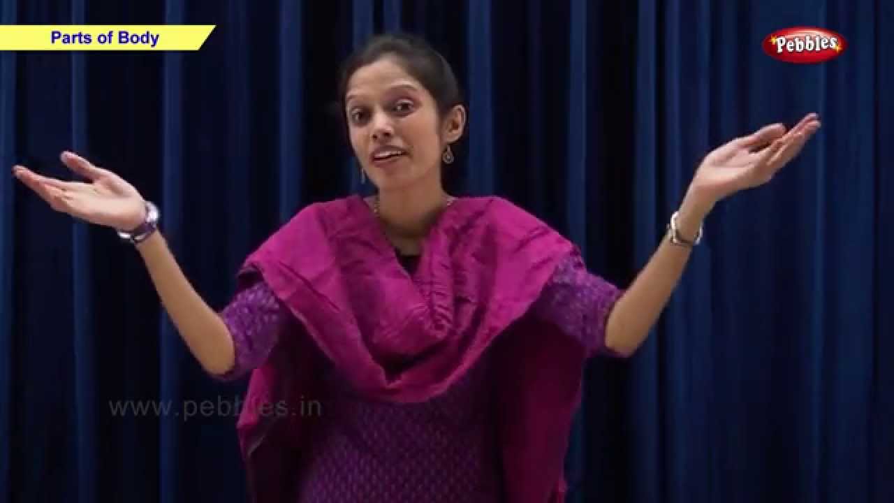 Parts of Body | Class 1 CBSE Science | Science Syllabus Live Videos | Video Training