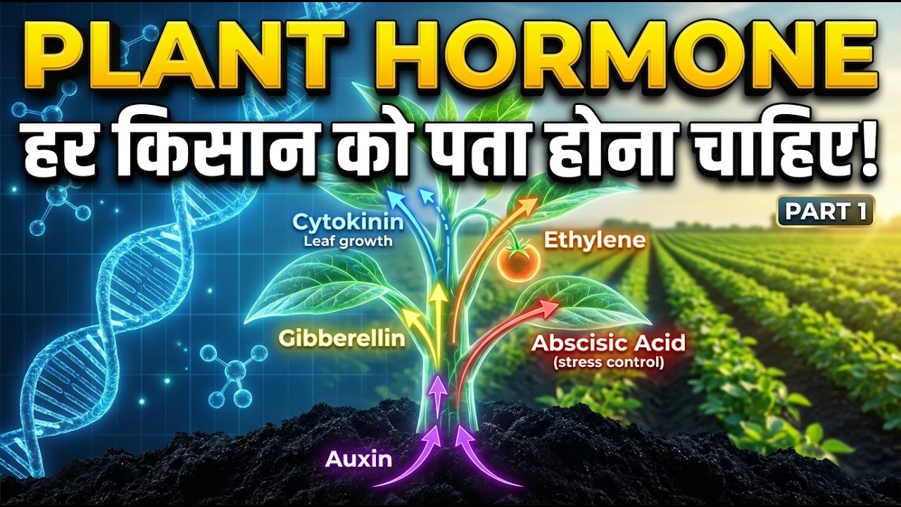 खेती का सबसे गहरा राज: Plant Hormones का सच! 🧬 खाद vs हार्मोन - कौन ज्यादा जरूरी| Masterclass Part-1