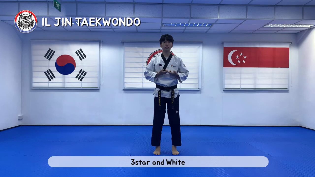 3 Star and White belt Pattern/ Poomsae/ Taekwondo/ 태권도/ Singapore Taekwondo Federation