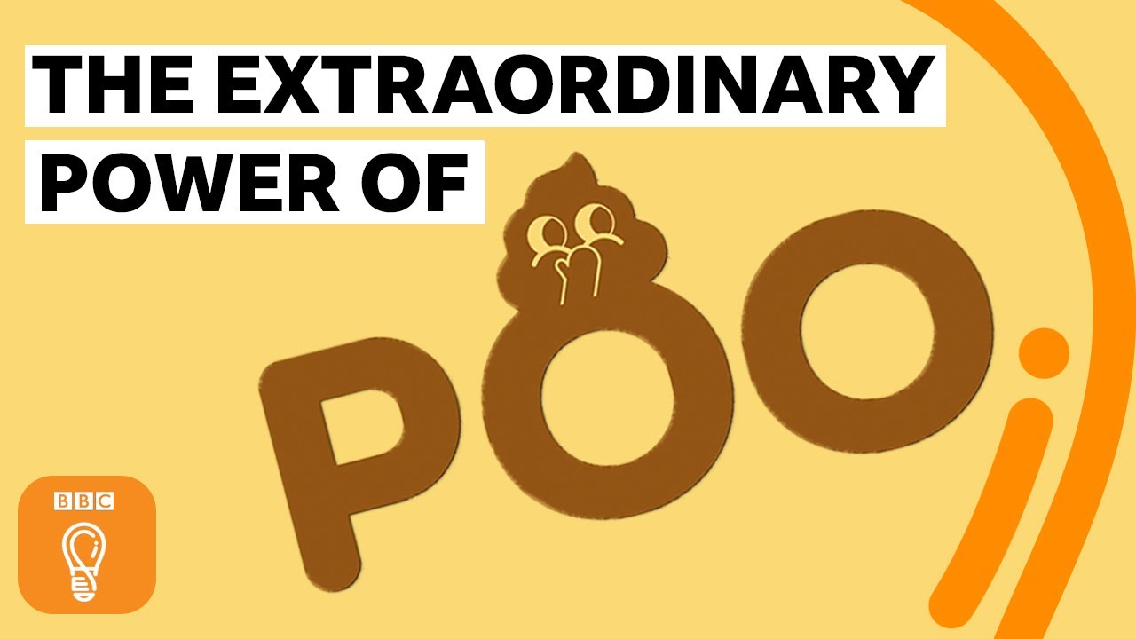 The extraordinary power of poo! | BBC Ideas