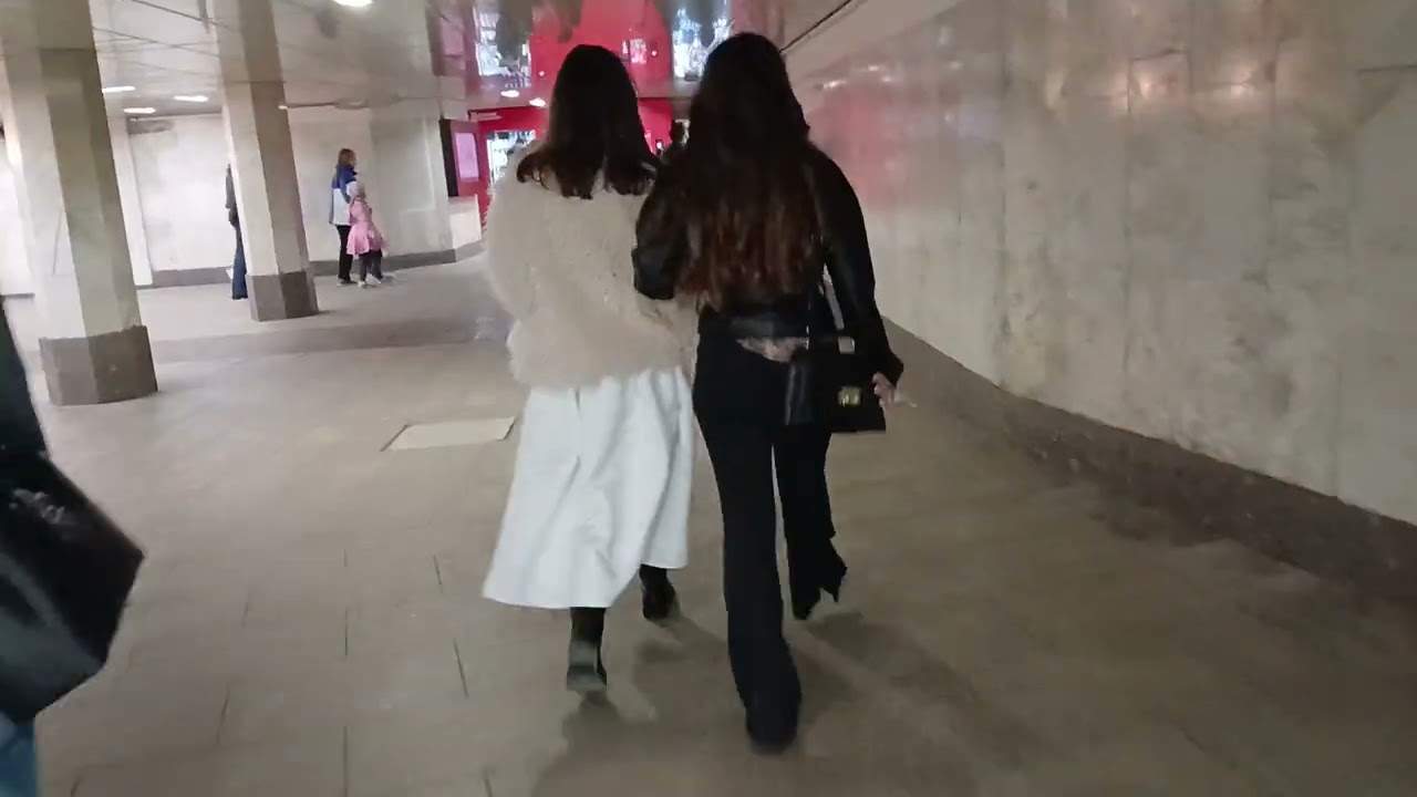 мПУШКИНСКАЯ Переход