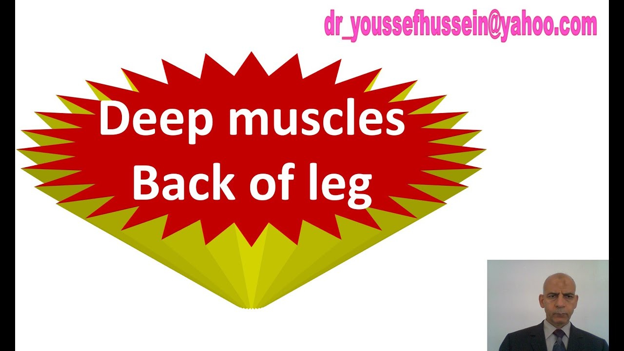 22. Deep muscles of back of leg | Popliteus muscle | Unlocking of knee joint | Flexor retinaculum