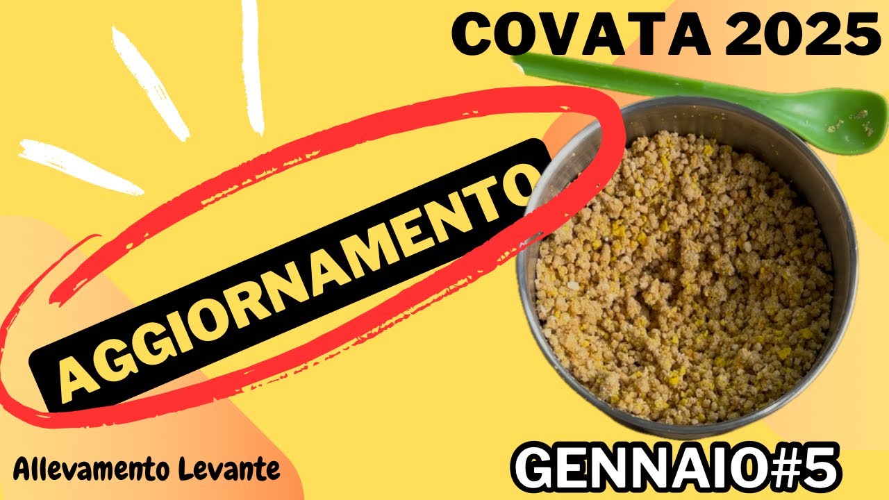 Aggiornamento Covata 2025 -Preparazione-Gennaio#5