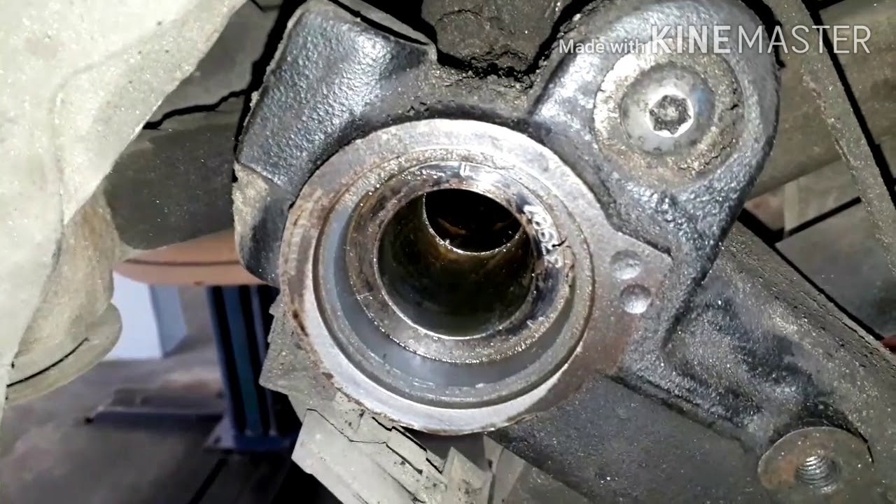 Ruído suspensão traseira  !!!!! Peugeot 206 ,207 .