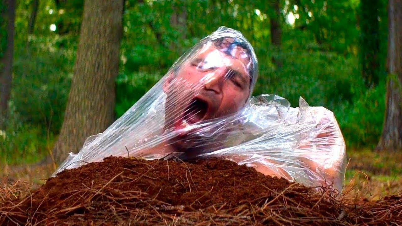 Se Despertó Enterrado en el Bosque, pero Cuando llegó a Casa Estaba Aún más Decepcionado