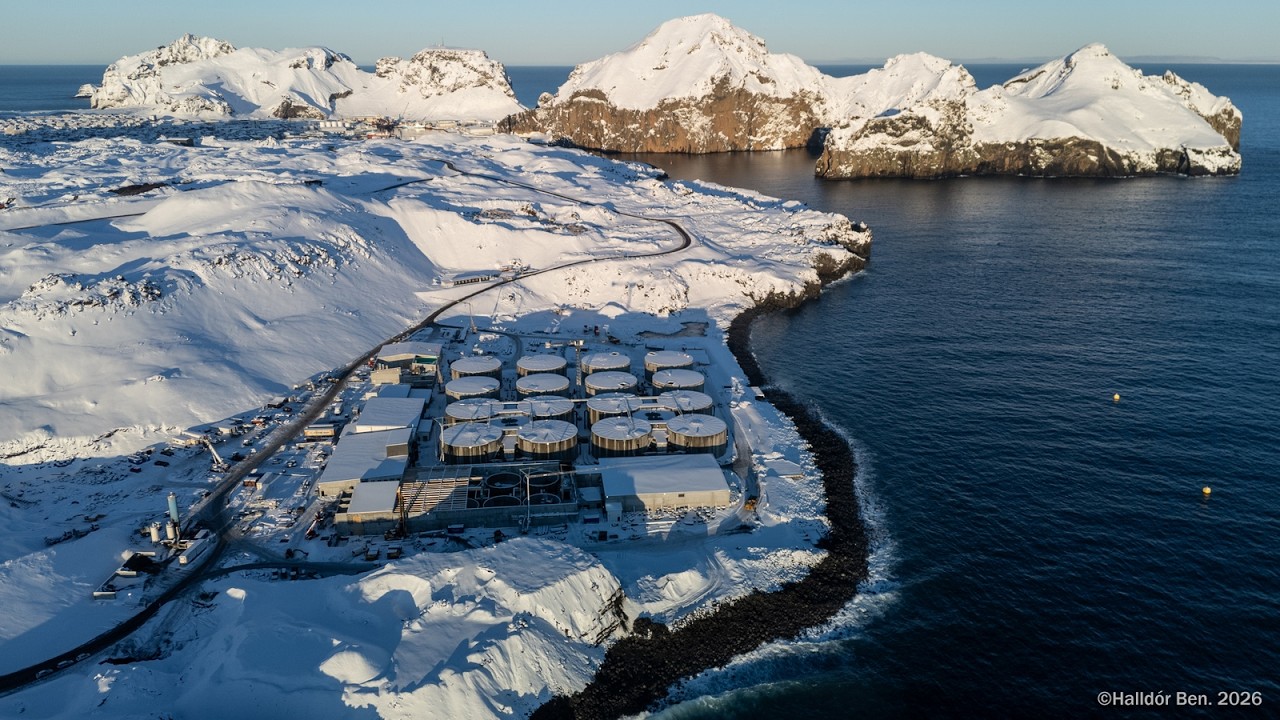 Viðlagafjara 20  febrúar 2026