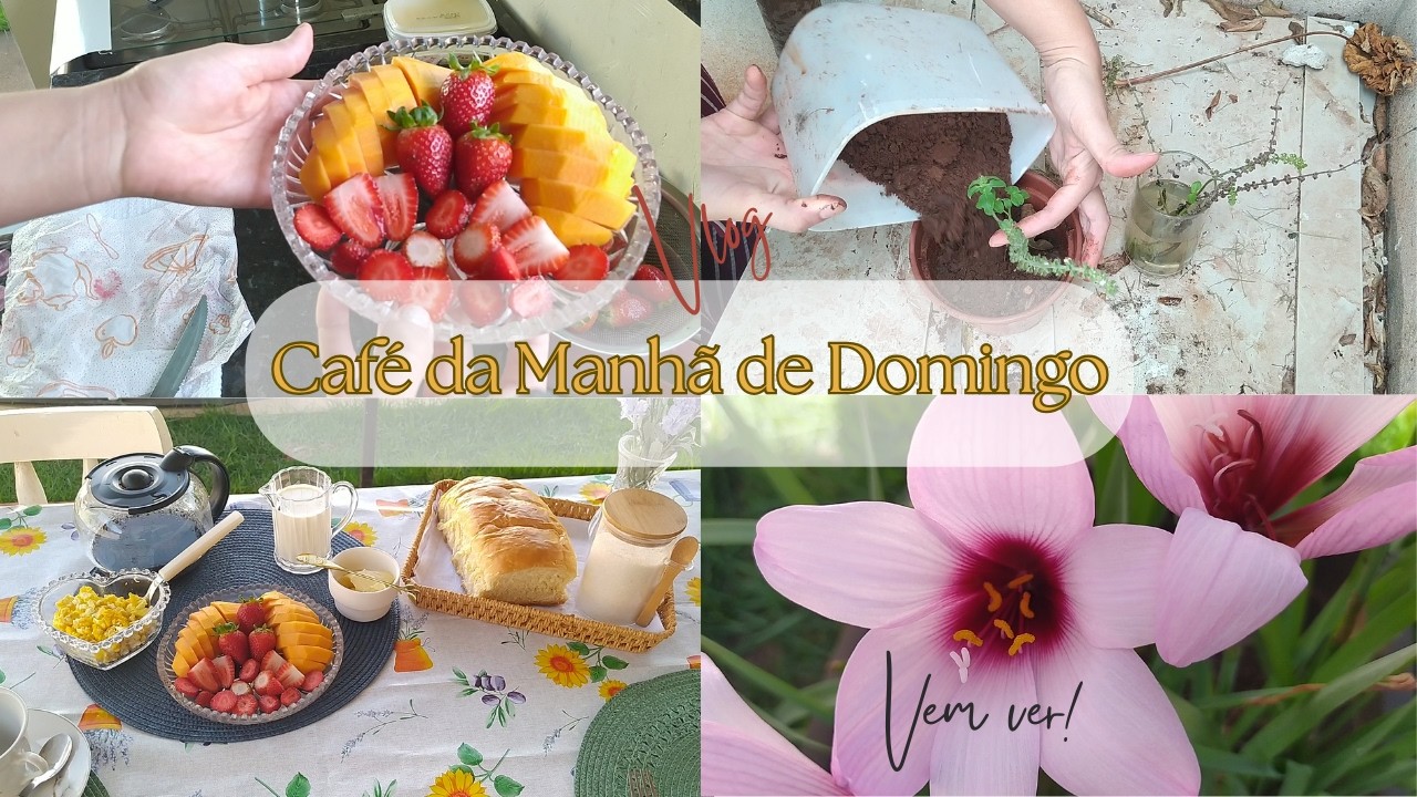 Vlog: Café da manhã de domingo, minhas flores e plantei manjerição