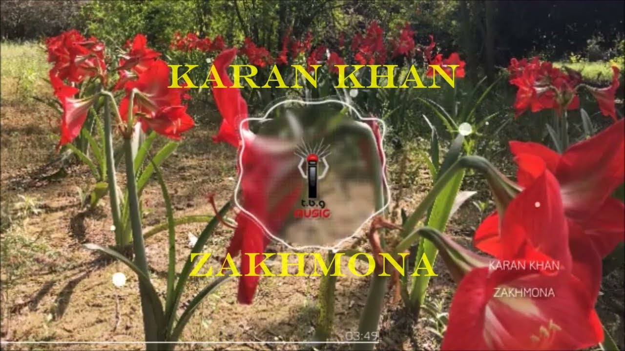 Karan Khan - Zakhmona (Official) - Tasveer