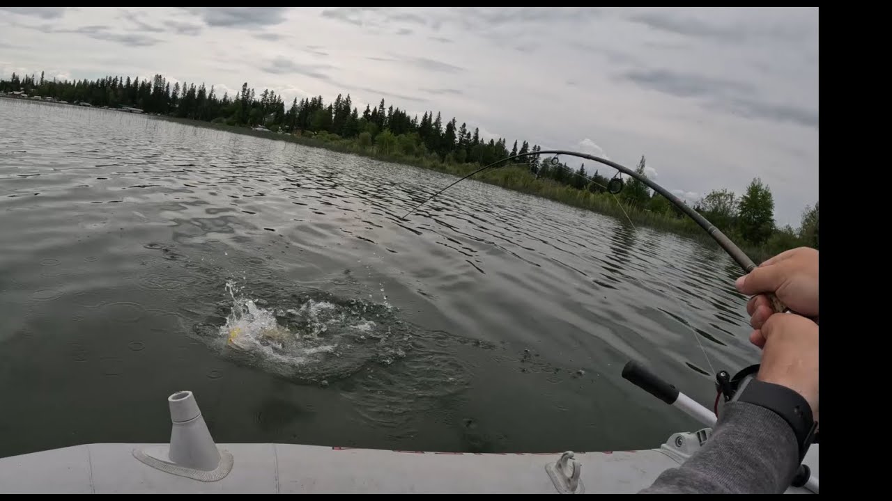 Topwater Pike & Limit Fishing Walleye - Emma Lake Mashup