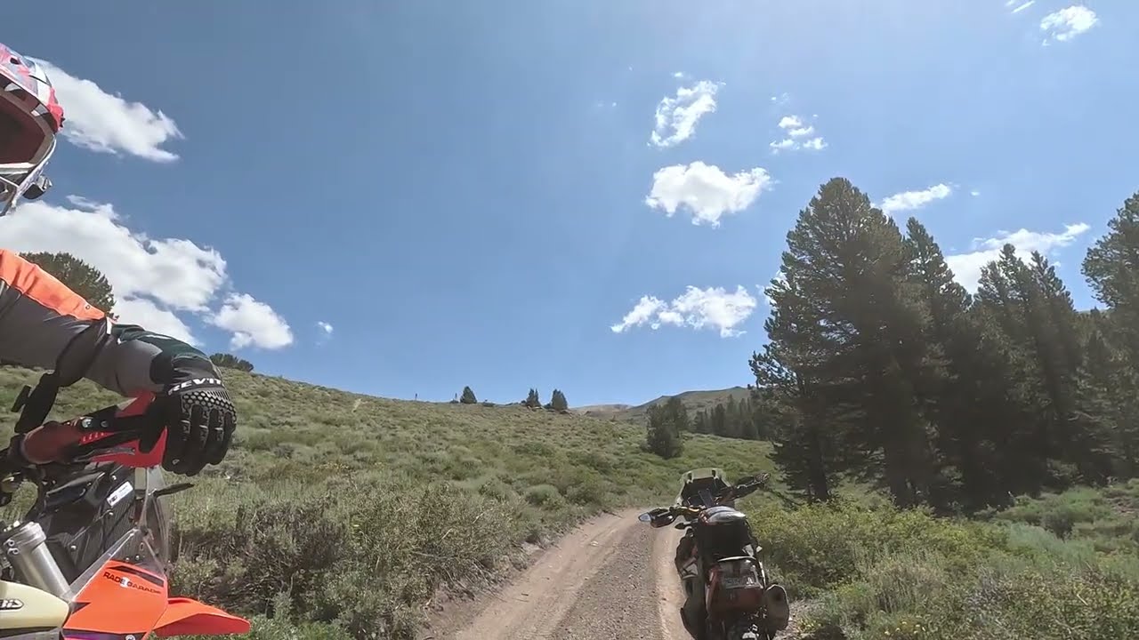 Mt.Patterson: along FS32115