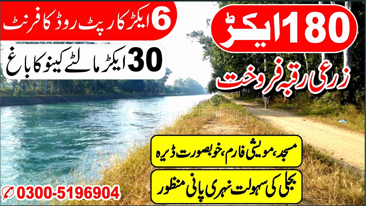 Land For Sale | 180 Acre Cheap Agriculture Land For Sale In Punjab Pakistan