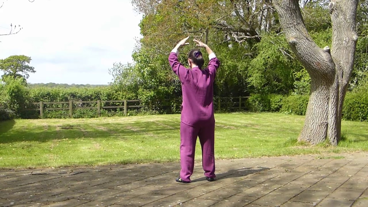 Autumn Qigong - Front & Back View.  From Four Seasons Sequence.
