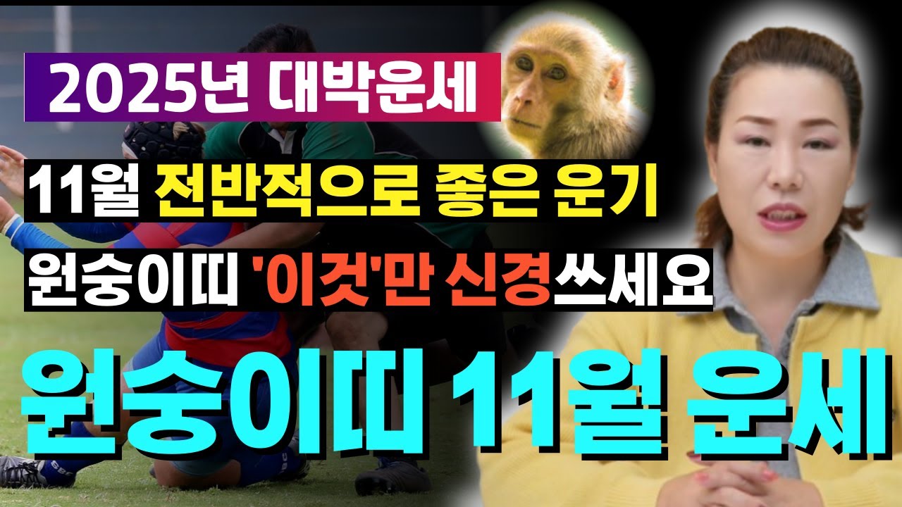 🌟2025년 11월 원숭이띠운세🌟갑신생, 임신생, 경신생, 무신생, 병신생... 딱 하나 걸리는 것은? [양평용한점집 청화신당]