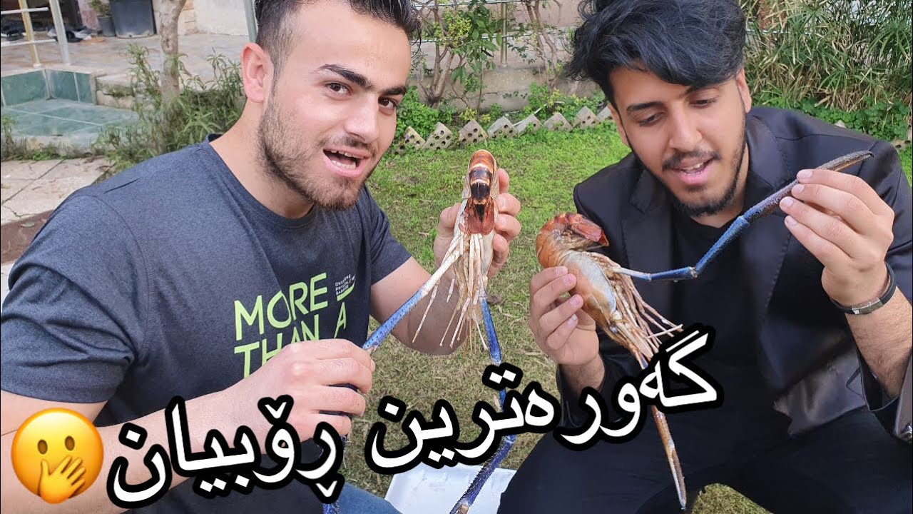 خواردنی گەورەترین ڕۆبیان لەگەڵ مەبەست كینگ،زۆر ترسناك بوو😢🤭