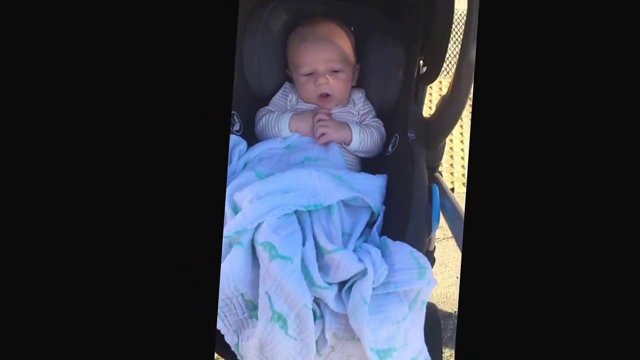 David on a Walk