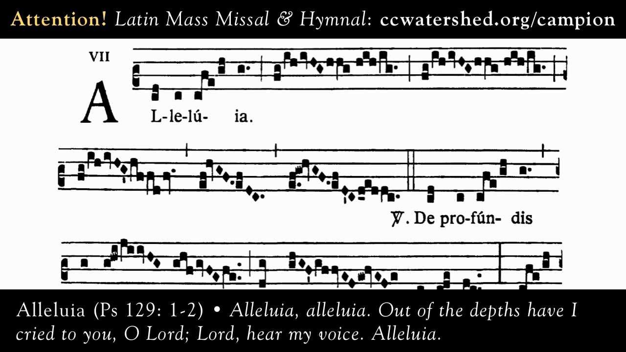ALLELUIA, De profúndis clamávi ad te, Dómine: Dómine, exáudi oratiónem meam.