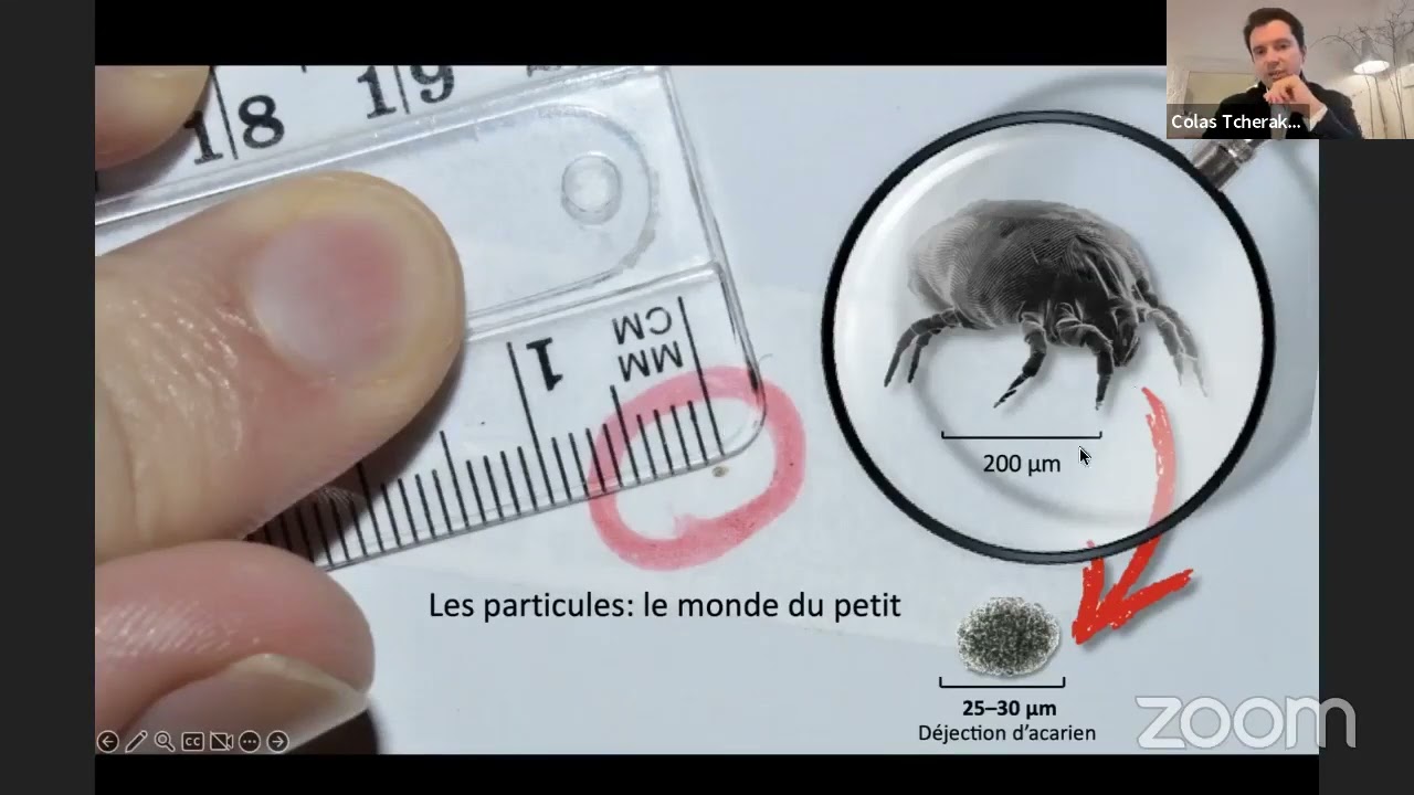 La pollution aérienne. Comment s'en protéger ?