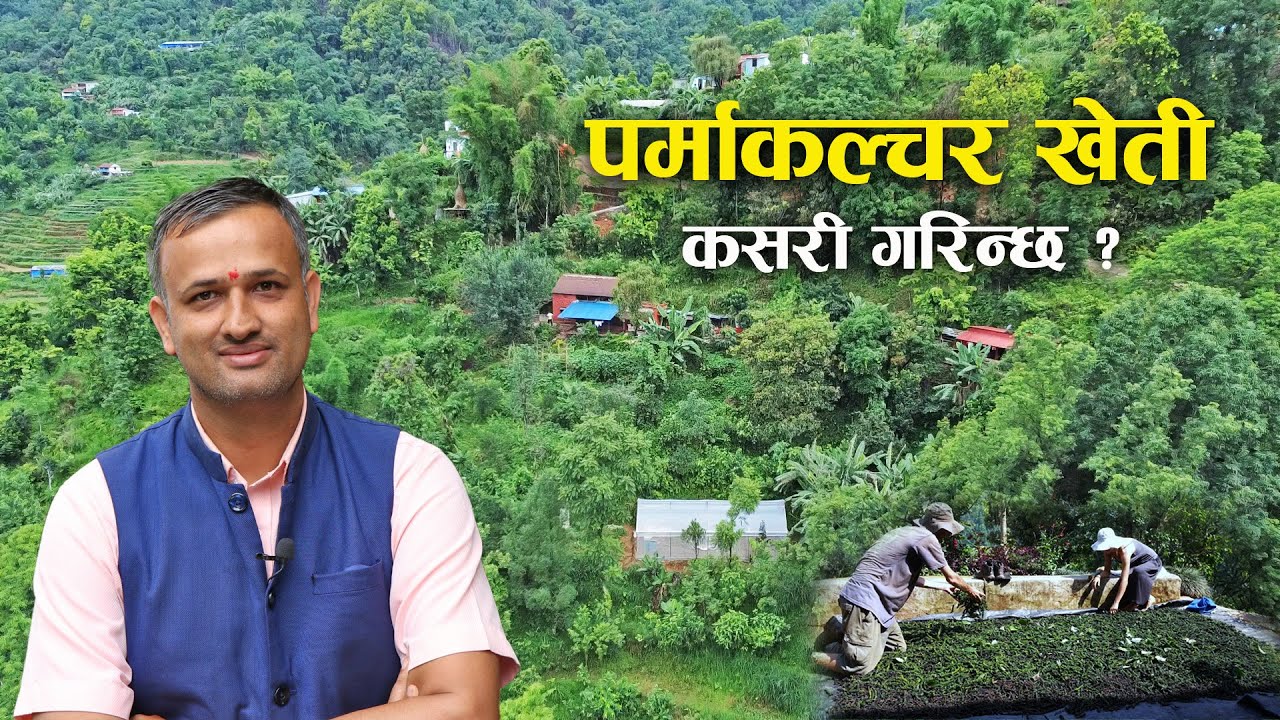 पर्माकल्चर खेती भनेको के हो र कसरी गरिन्छ ? - What is Permaculture