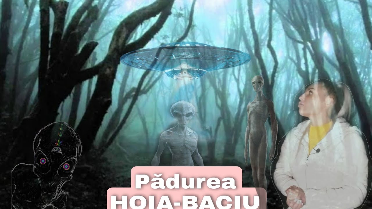Am plecat cu Tiberiu si Ionuț de la casuță direct în Pădurea Hoia-Baciu