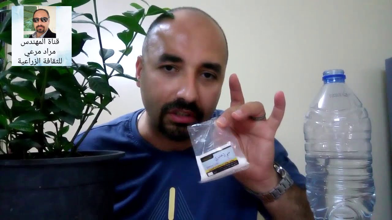 تسميد نباتات بملح الانجليزى او ملح إبسيوم ماهى مقادير وطرق الاستعمال ؟ Epsom salt حلقة201