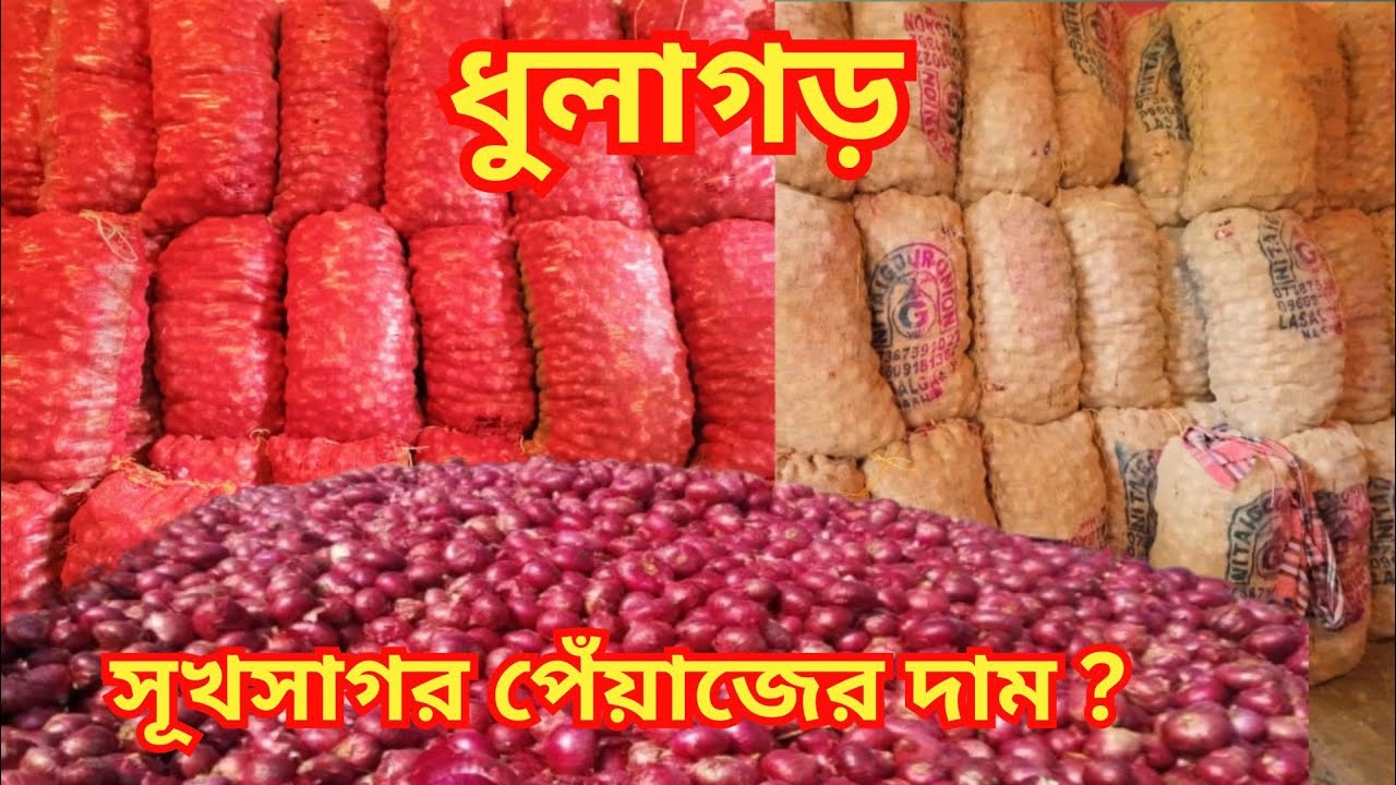 টুকটাক সুখসাগর আসা শুরু হচ্ছে এবং পেঁয়াজের বাজার সামগ্রিকভাবে কমছে/Onion Price Update in Dhulagarh