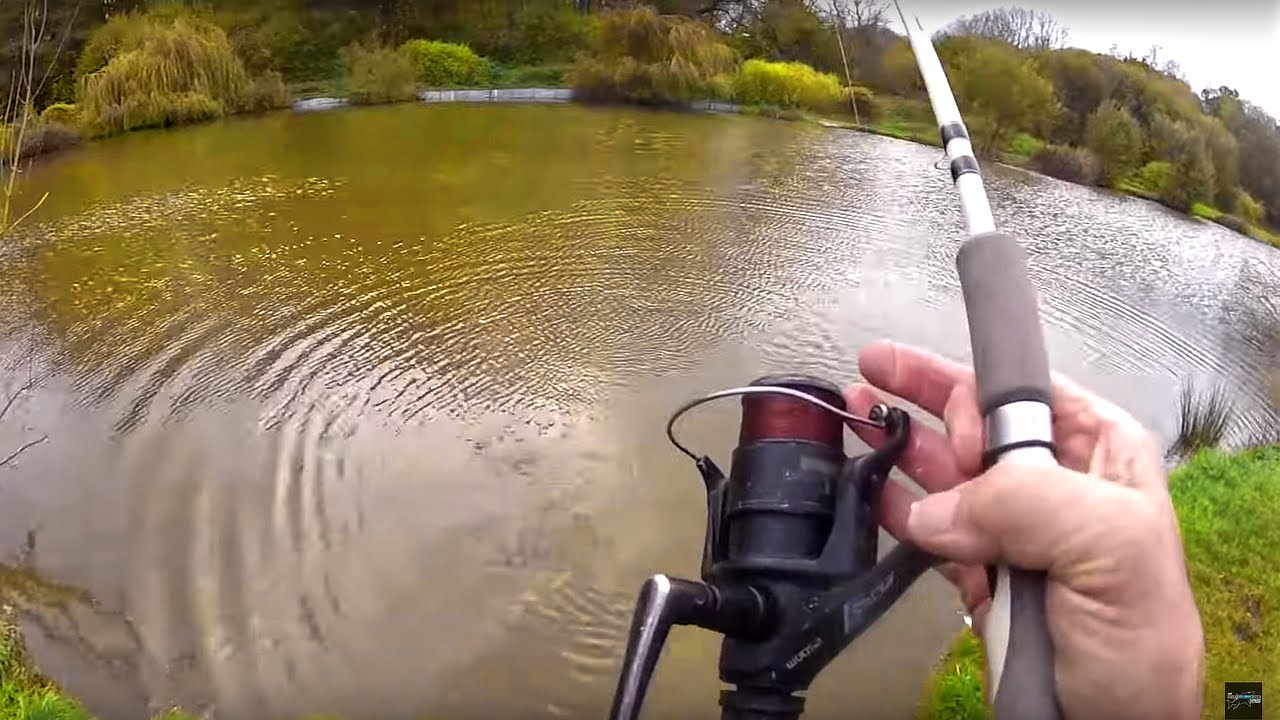 17 CARP! Fishing with BREAD!