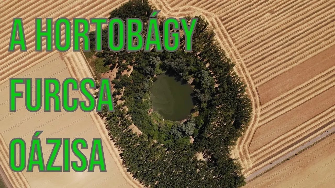 Kráter-tó: a Hortobágy tűzben született oázisa
