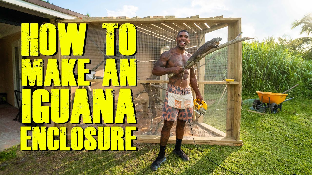 HOW TO BUILD AN IGUANA ENCLOSURE