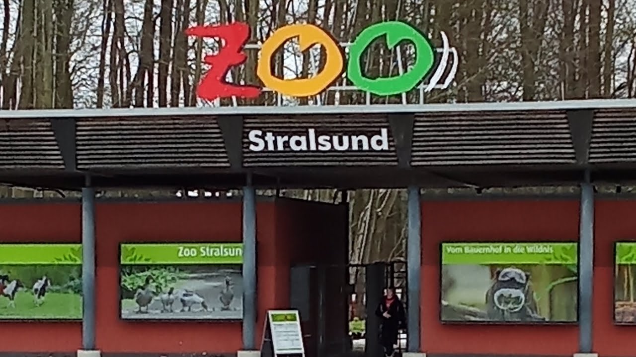 Besuch des Stralsunder Zoos(mit freundlicher Genehmigung des Zoos von Stralsund)😀