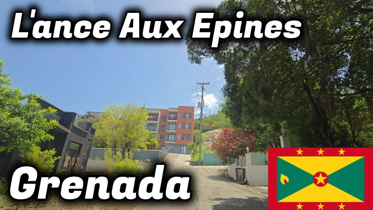 Scenic Drive Throughout L'ance Aux Epines | Richest Neighborhood in Grenada