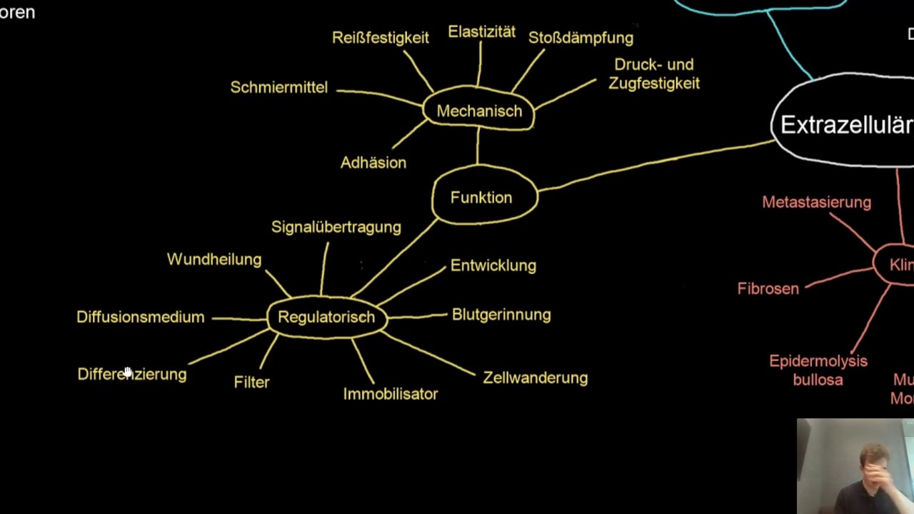 Extrazelluläre Matrix: Kollagen, Glykosaminoglykane, Proteoglykane Auf- und Abbau, Klinik, TGF-⁠β