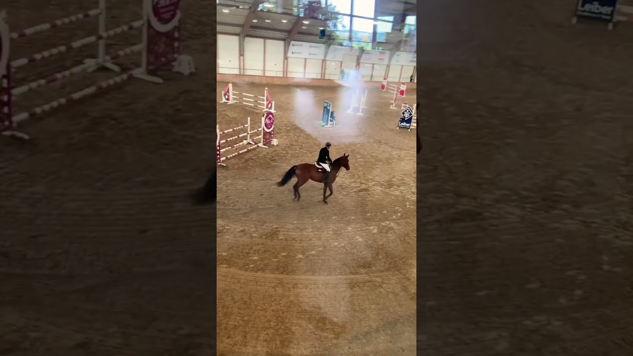 ￼zawody na hipodromie😁😘#sopot#hipodrom #horse Daj SUBA 🥰