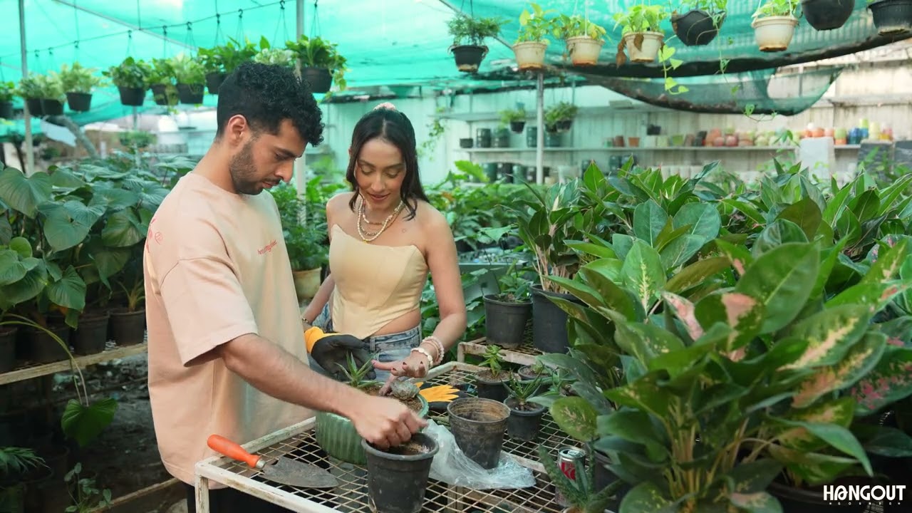 Hangout at the Nursery: House Music DJ Set & Cactus Garden (2025)