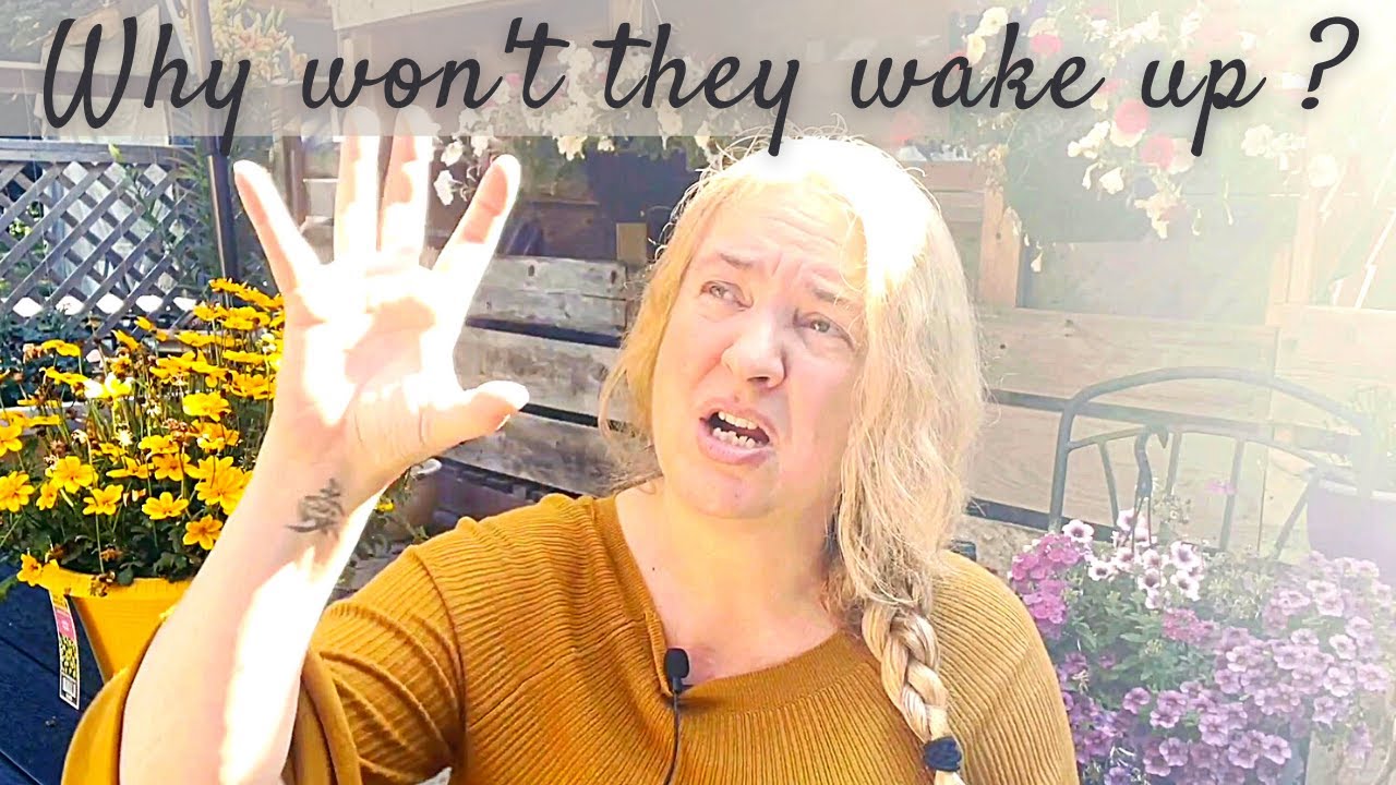 Earthseed vs Starseed : Are they stopping us from 5D Ascension?