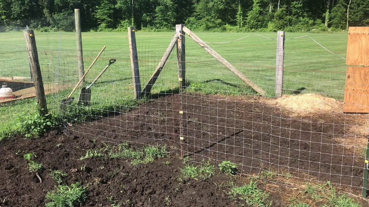 Training Calves for Oxen Part 3 (Setting up Your Space)