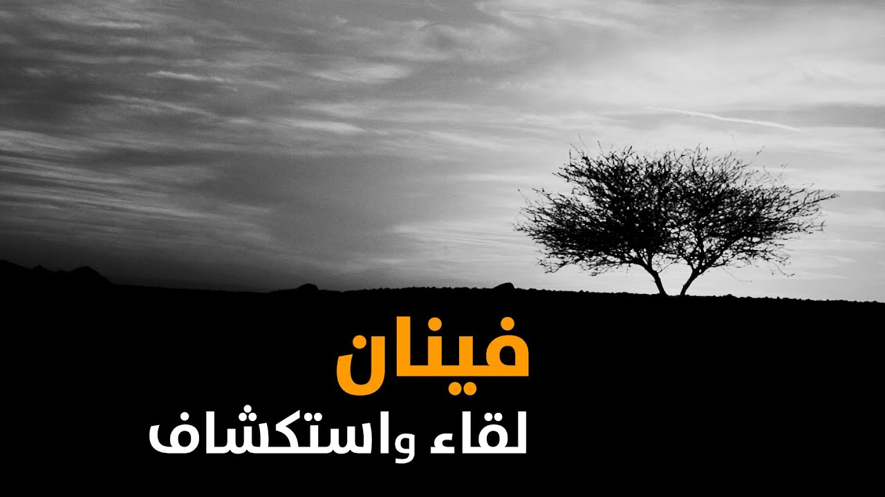 شمة هوا | فندق فينان
