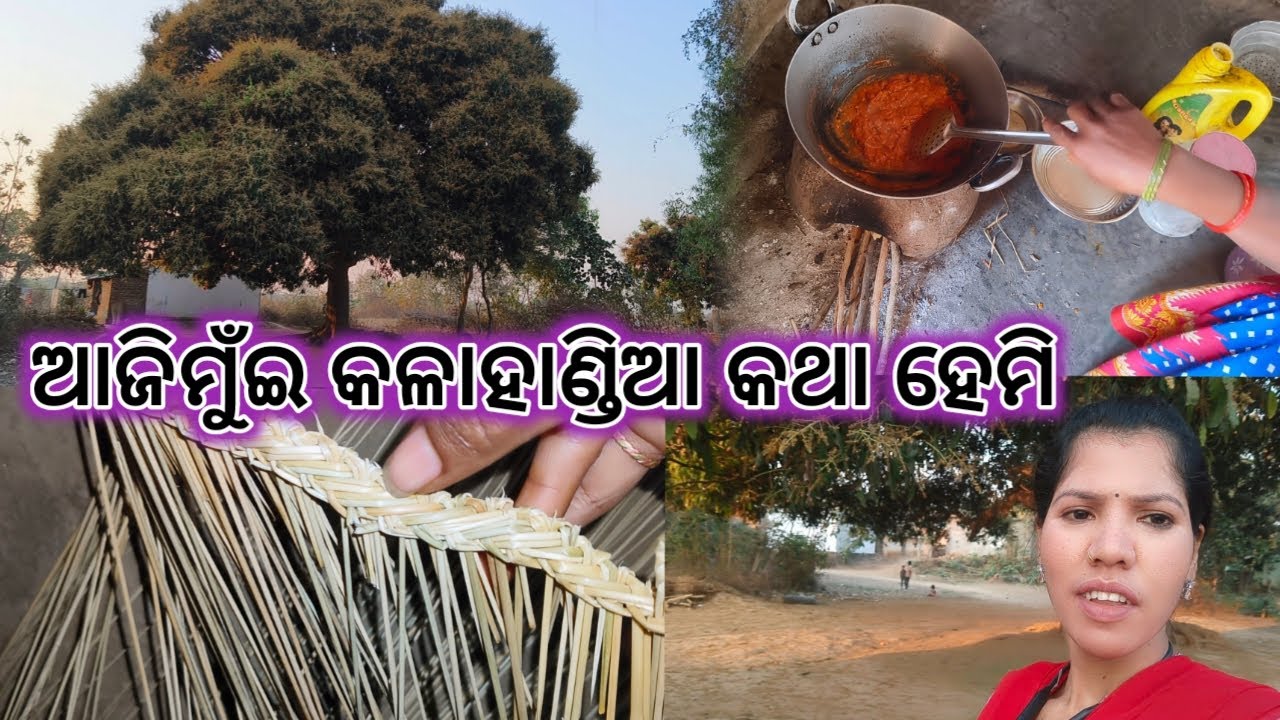 କାହିଁକି  କଳାହାଣ୍ଡିଆଁ ଭାଷା ରେ କଥା ହେବାକେ ପଡ଼ିଲା / daily life village vlog funny /Geetan Hastel Vlog