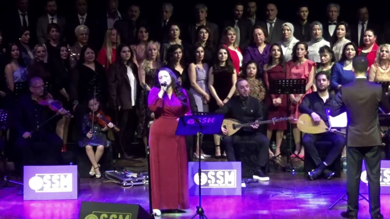 Senin Olmaya Geldim / Solist: Melisa ERKUL -Hatıra Defteri (Seksenli Yıllardan Unutulmayan Ezgileri)