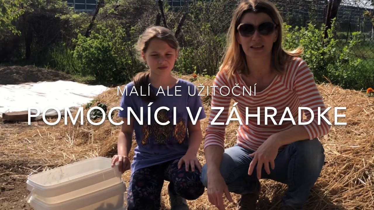 Mal&iacute; ale užitočn&iacute; pomocn&iacute;ci v z&aacute;hradke