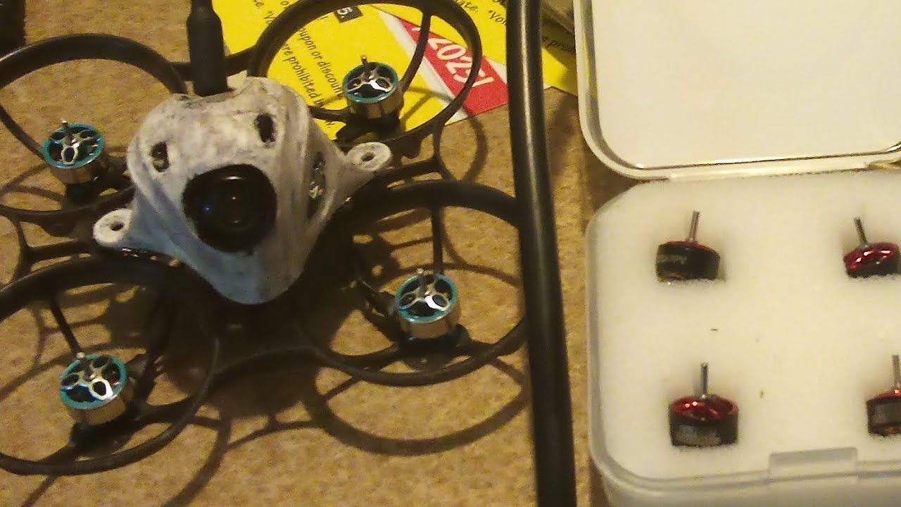 Air 65 Champion Gorilla Whoop edition, 