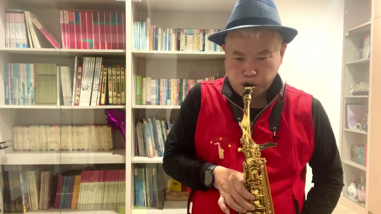 飛鴿純情青春夢